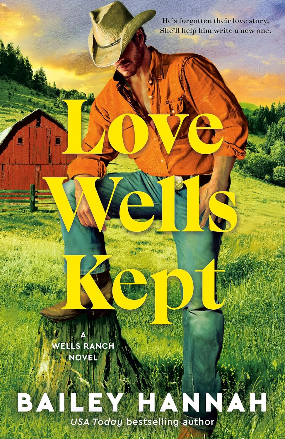 ARC Review #30 – Love Wells Kept by Bailey&nbsp;Hannah